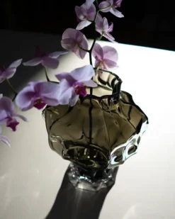 Ammonit Vase, new smoke fra Hein Studio