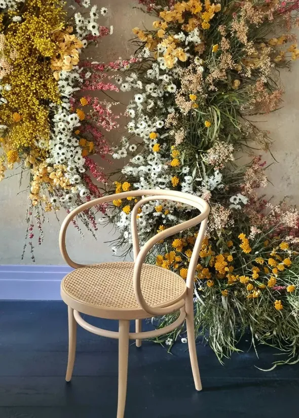 209 Armstol, bøg fra Thonet