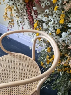209 Armstol, bøg fra Thonet