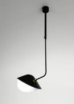 Ceiling Lamp Bookshelves Curved af Serge Mouille