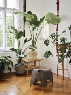 Eames Elephant, 75 års jubilæumsudgave fra Vitra