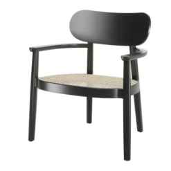 119 F lænestol fra Thonet