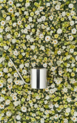 Original vandkande, 1,7 l fra Stelton