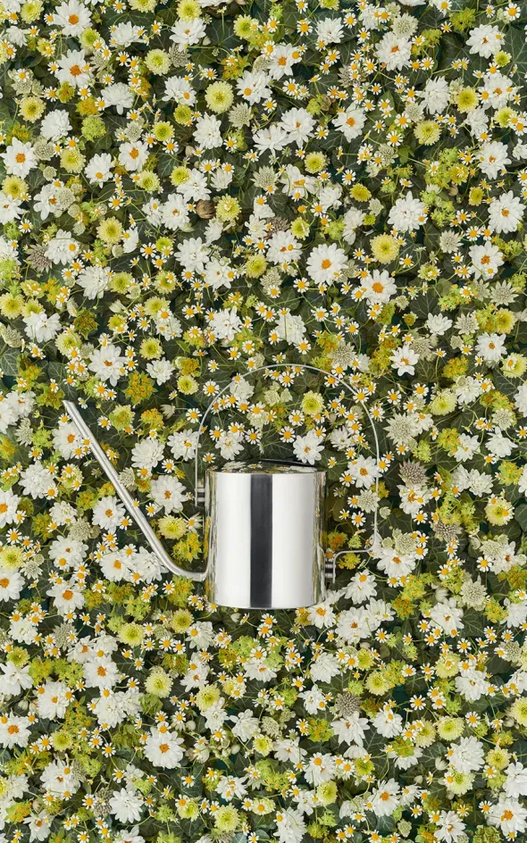 Original vandkande, 1,7 l fra Stelton