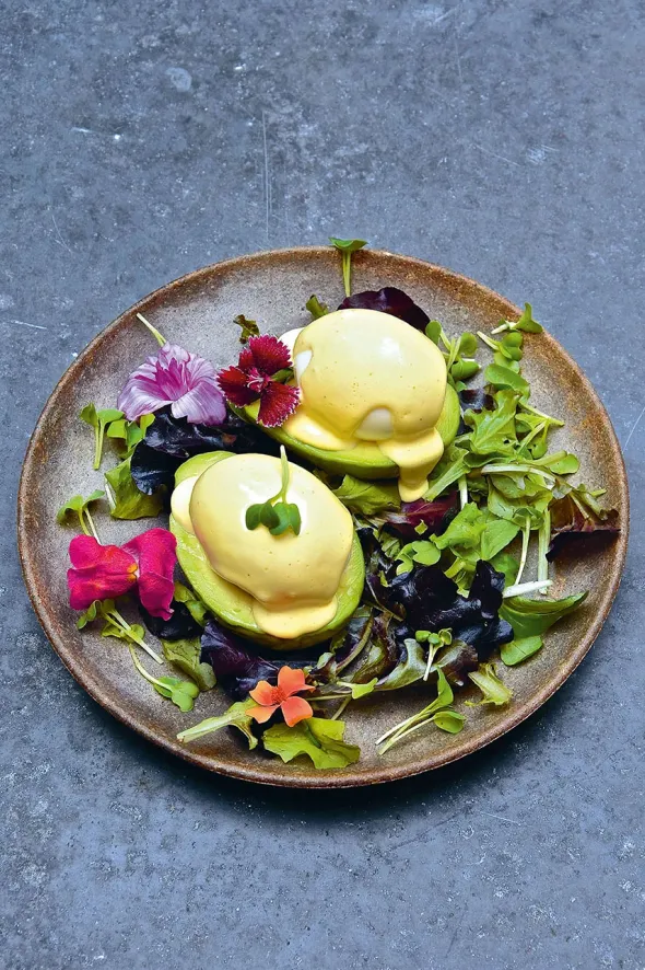 The Avocado Book fra New Mags