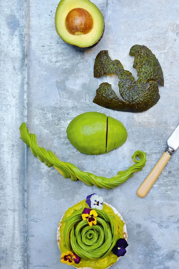 The Avocado Book fra New Mags
