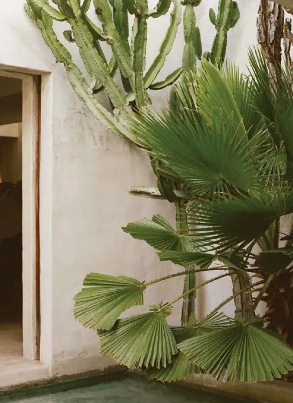 The Kinfolk Garden fra New Mags