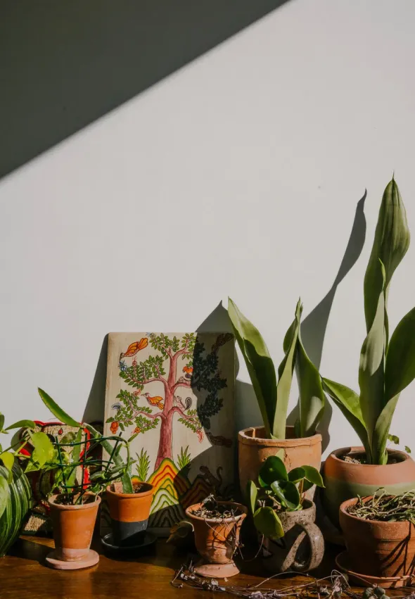 The Kinfolk Garden fra New Mags