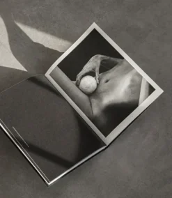 The Reinvention of Forms, Grey fra New Mags
