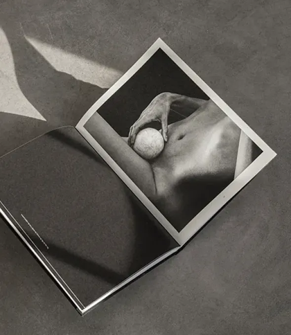The Reinvention of Forms, Grey fra New Mags