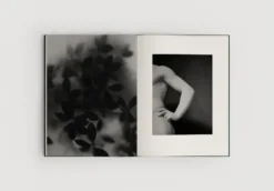 The Reinvention of Forms, Sand fra New Mags