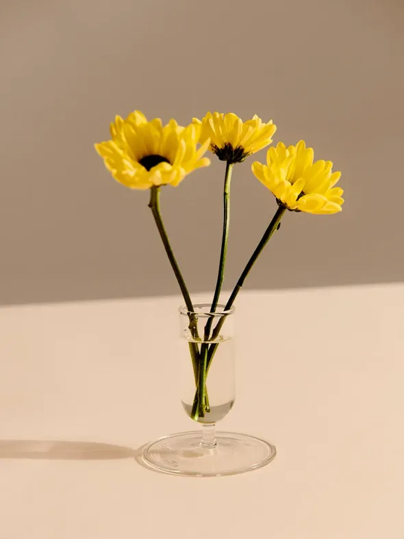 Tiny Vase fra Hay