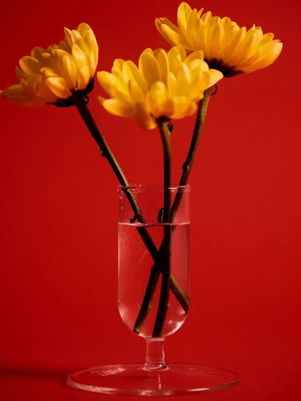 Tiny Vase fra Hay